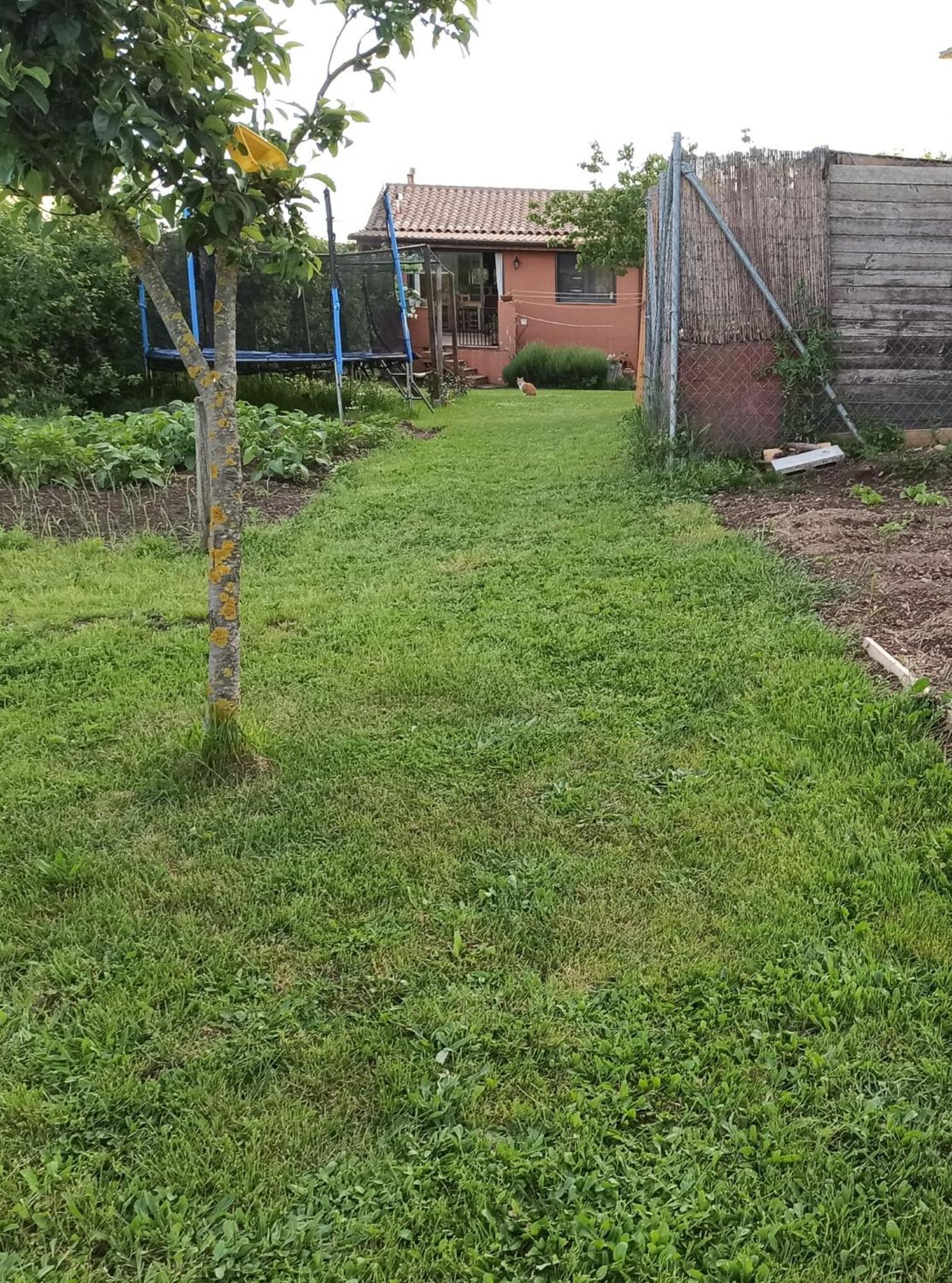 Alojamiento Compartido Cantroncxic San Pedro de Torelló Exteriér fotografie